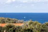 58 Parson St, Ulladulla, NSW 2539-Image
