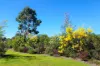 58 Pharlap Parade, Branyan, Qld 4670-Image