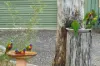 58 Pharlap Parade, Branyan, Qld 4670-Image