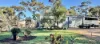 58 Pitt Street, Pingelly, WA 6308-Image