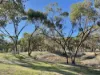 58 Pitt Street, Pingelly, WA 6308-Image