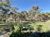 58 Pitt Street, Pingelly, WA 6308-Image