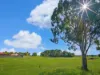 58 Saint Joseph Drive, Urraween, Qld 4655-Image