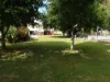 58 Seventeenth Street, Home Hill, Qld 4806-Image