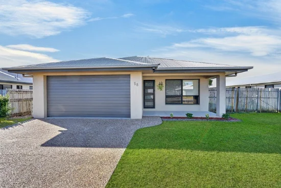 58 Shoalmarra Drive, Mount Low, Qld 4818