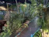 58 SUNSHINE AVENUE, Tarragindi, Qld 4121-Image