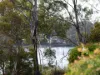 58 Tasman Highway, St Helens, Tas 7216-Image