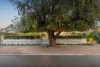 58 Third Avenue, Mount Lawley, WA 6050-Image