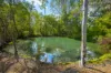 58 Timbergrove Road, Elimbah, Qld 4516-Image