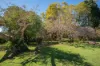 58 Treehaven Way, Maleny, Qld 4552-Image