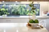 58 Victory Drive, Griffin, Qld 4503-Image