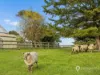 580 Harding Lawson Road, Fish Creek, Vic 3959-Image