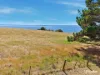 580 Phillip Island Road, San Remo, Vic 3925-Image