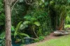 580 Saltwater Creek Road, Palm Grove, Qld 4800-Image