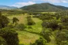 580 Saltwater Creek Road, Palm Grove, Qld 4800-Image
