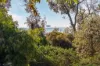 581 Point Nepean Road, McCrae, Vic 3938-Image