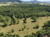 582 Granadilla Road, Granadilla, Qld 4855-Image