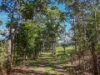 582 Granadilla Road, Granadilla, Qld 4855-Image
