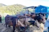 583-603 West Mount Cotton Road, Mount Cotton, Qld 4165-Image