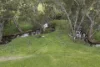 583 Marong-Serpentine Road, Leichardt, Vic 3516-Image
