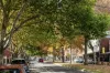 583 Rathdowne Street, Carlton North, Vic 3054-Image
