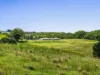 585 Bangalow Road, Talofa, NSW 2481