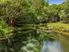 585 Bangalow Road, Talofa, NSW 2481-Image