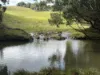 585 Bangalow Road, Talofa, NSW 2481-Image