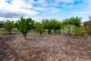 587 Arthur Highway, Forcett, Tas 7173-Image