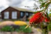 587 Arthur Highway, Forcett, Tas 7173-Image