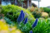 587 Arthur Highway, Forcett, Tas 7173-Image