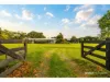 587 Curramore Road, Curramore, Qld 4552-Image