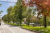 587 Drummond Street, Carlton North, Vic 3054-Image