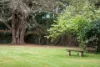 587 Moss Vale Road, Burradoo NSW 2576-Image