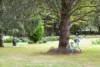 587 Moss Vale Road, Burradoo NSW 2576-Image