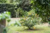 587 Moss Vale Road, Burradoo NSW 2576-Image