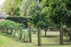 587 Moss Vale Road, Burradoo NSW 2576-Image