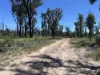589 Orchard Road, Tara, Qld 4421-Image