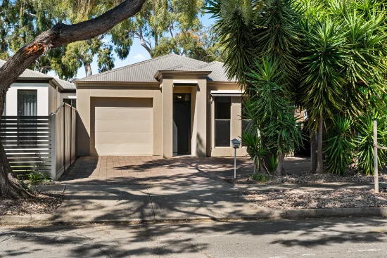 58A Arthur Street, Plympton Park, SA 5038