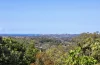 59-63 Atkinson Road, Bli Bli, Qld 4560-Image