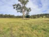 59 Bethross Drive, Tambo Upper, Vic 3885-Image