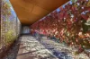 59 Browns Lane, Emu Creek, Vic 3551-Image