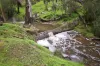 59 Browns Lane, Emu Creek, Vic 3551-Image