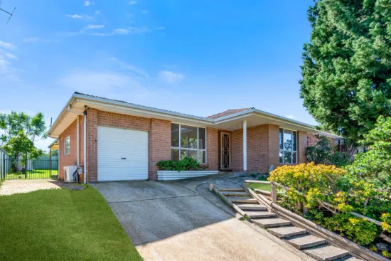 59 Chasselas Avenue, Eschol Park, NSW 2558