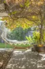 59 Christies Road, Leopold, Vic 3224-Image
