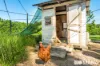 59 Crabbes Creek Road, Crabbes Creek, NSW 2483-Image