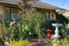 59 Denny Street, Latham, ACT 2615-Image
