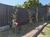 59 Fleming Street, Kandos, NSW 2848-Image