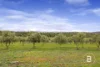 59 Forestry Road, Landsborough, Vic 3384-Image