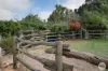 59 Henlin Park Road, Smythesdale, Vic 3351-Image